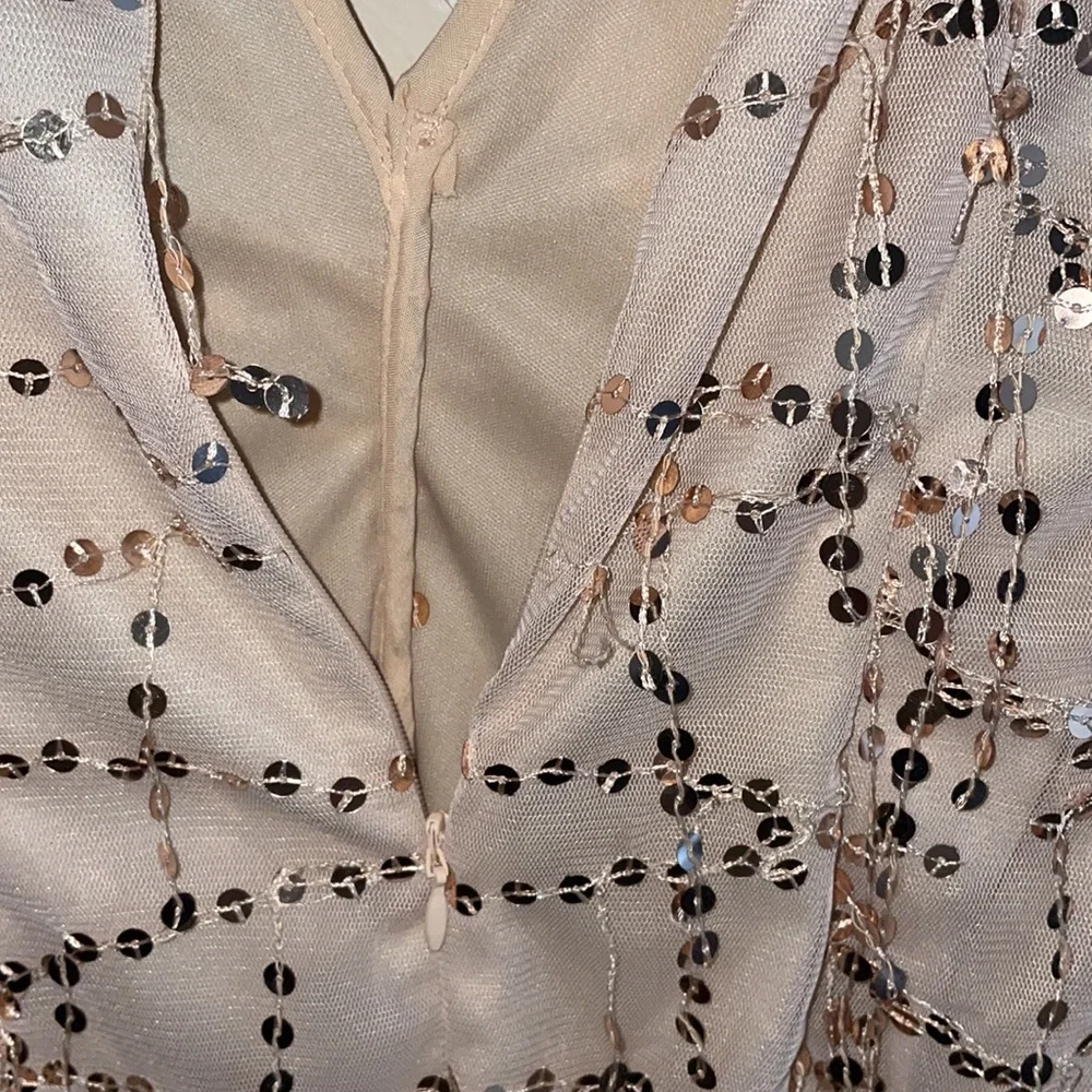 PLT nude ruched sequin dress - Picture 7 of 7